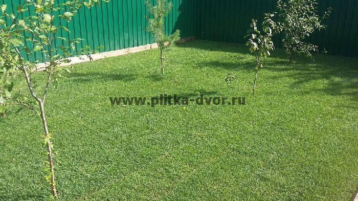 тротуарная плитка во дворе частного дома фотo и цена